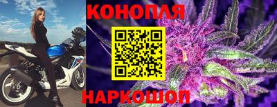 стаф Владивосток